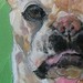 tattoo galleries/ - abbey - 46454